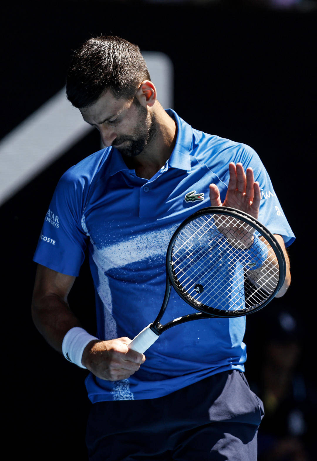 戴维斯杯横扫澳网，穆雷关键制胜