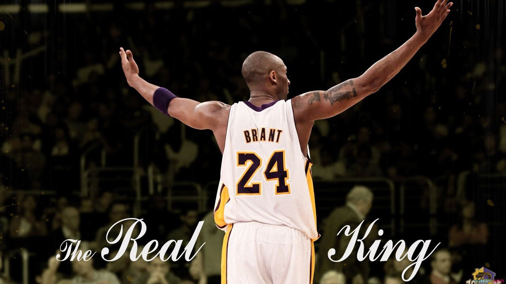 莫兰特撕裂长夜,当吉林的冰遇见浙江的火